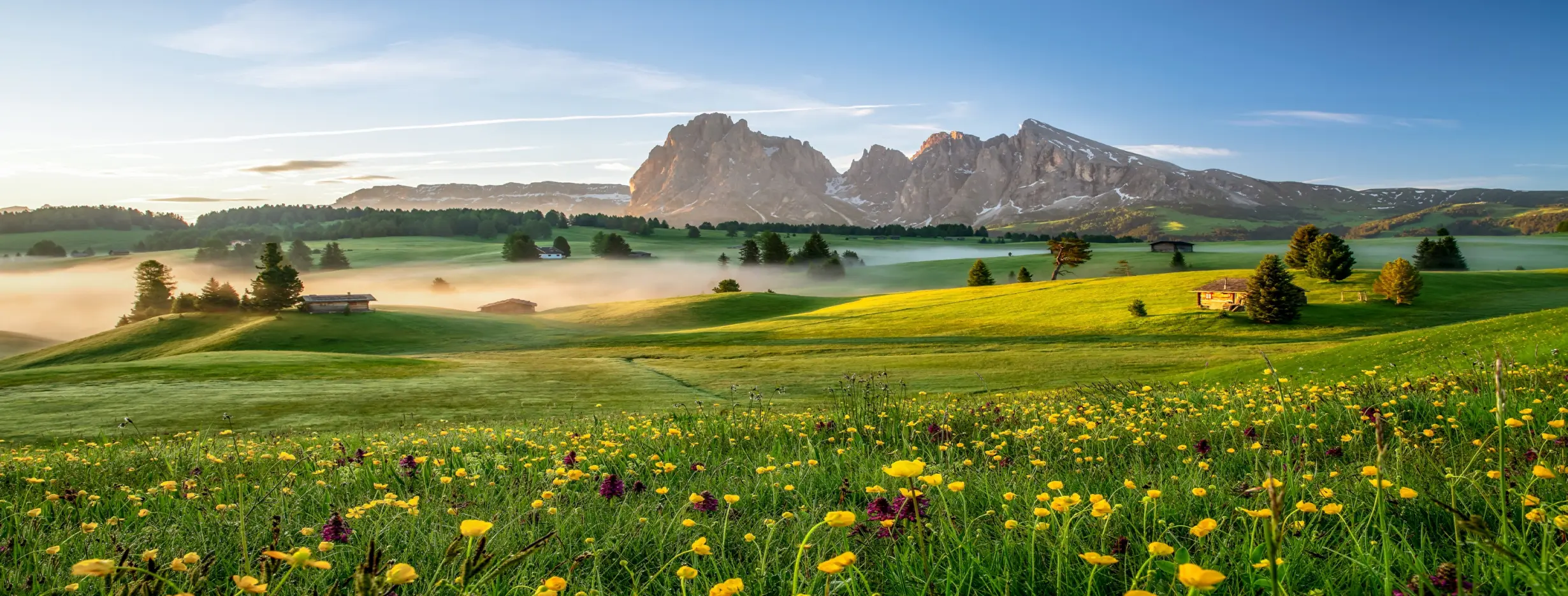 Image for Outdoor Paradise